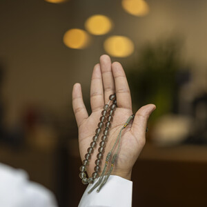 Bakelite Karkoush Gray 2