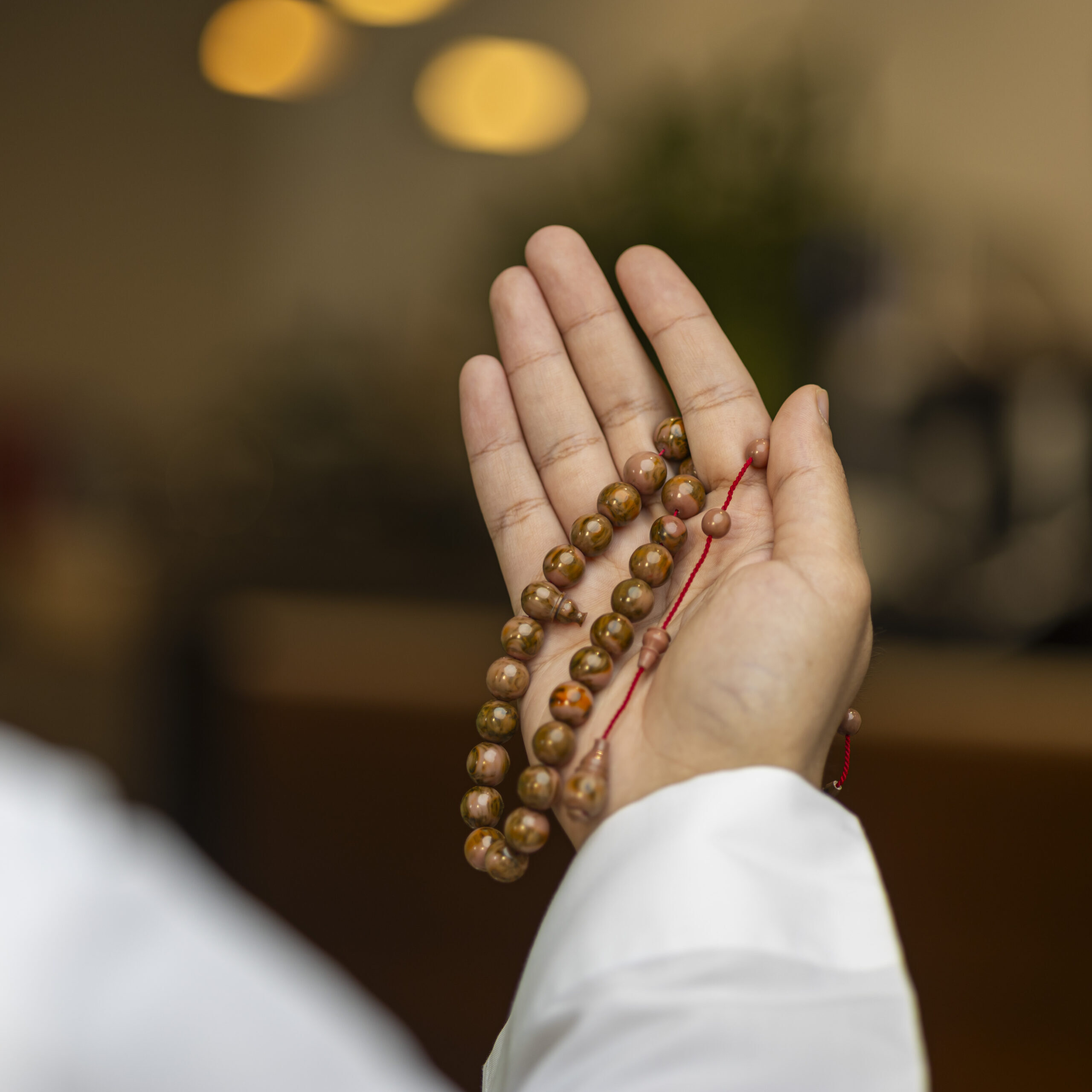 فاتوران تمليكه جالكسي