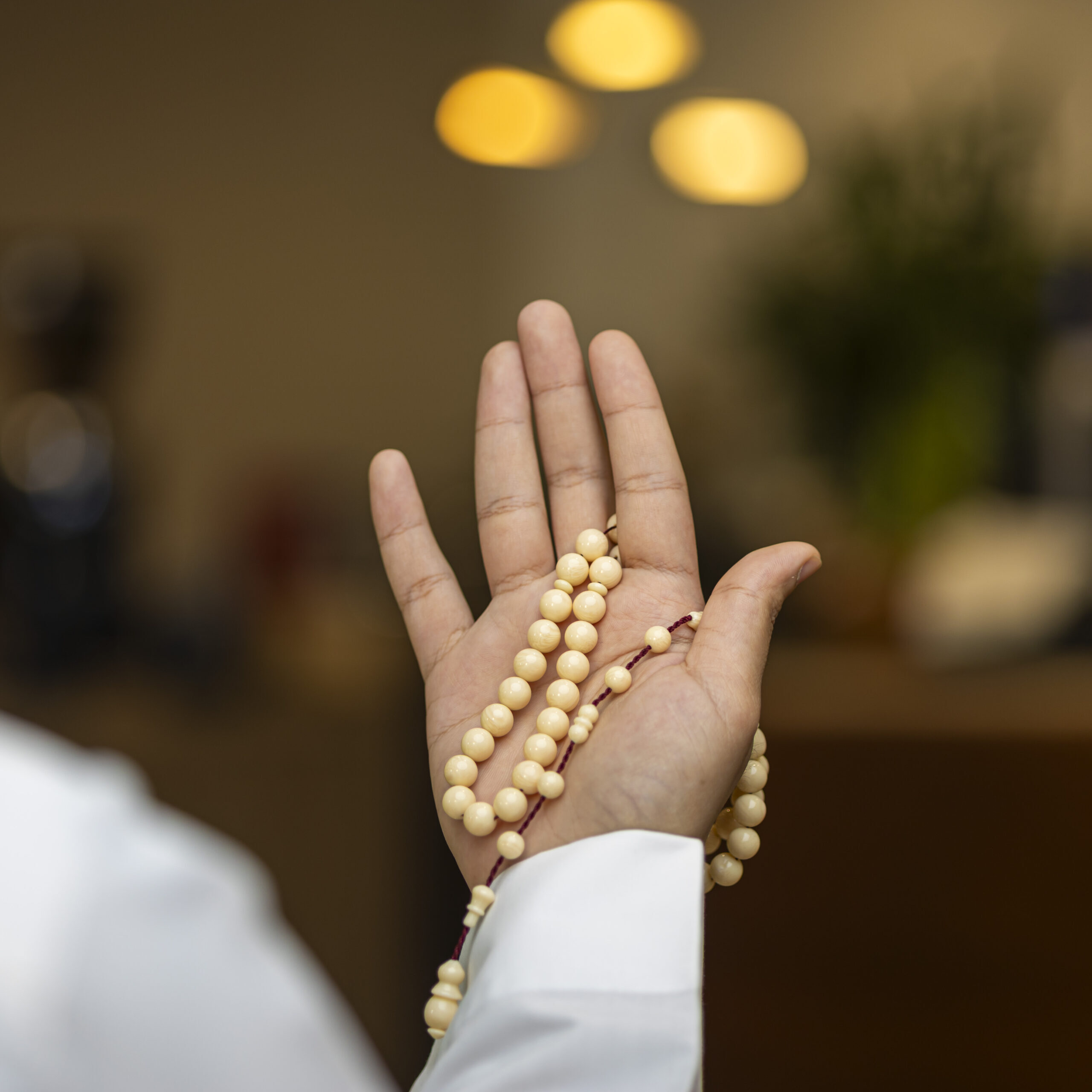 بكلايت تمليكه حليبي